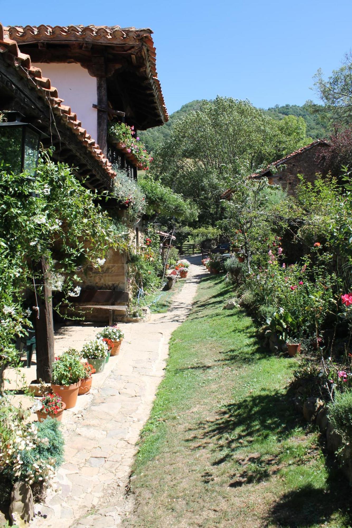 Гостевой дом Casona De Trevino Косгайя Экстерьер фото
