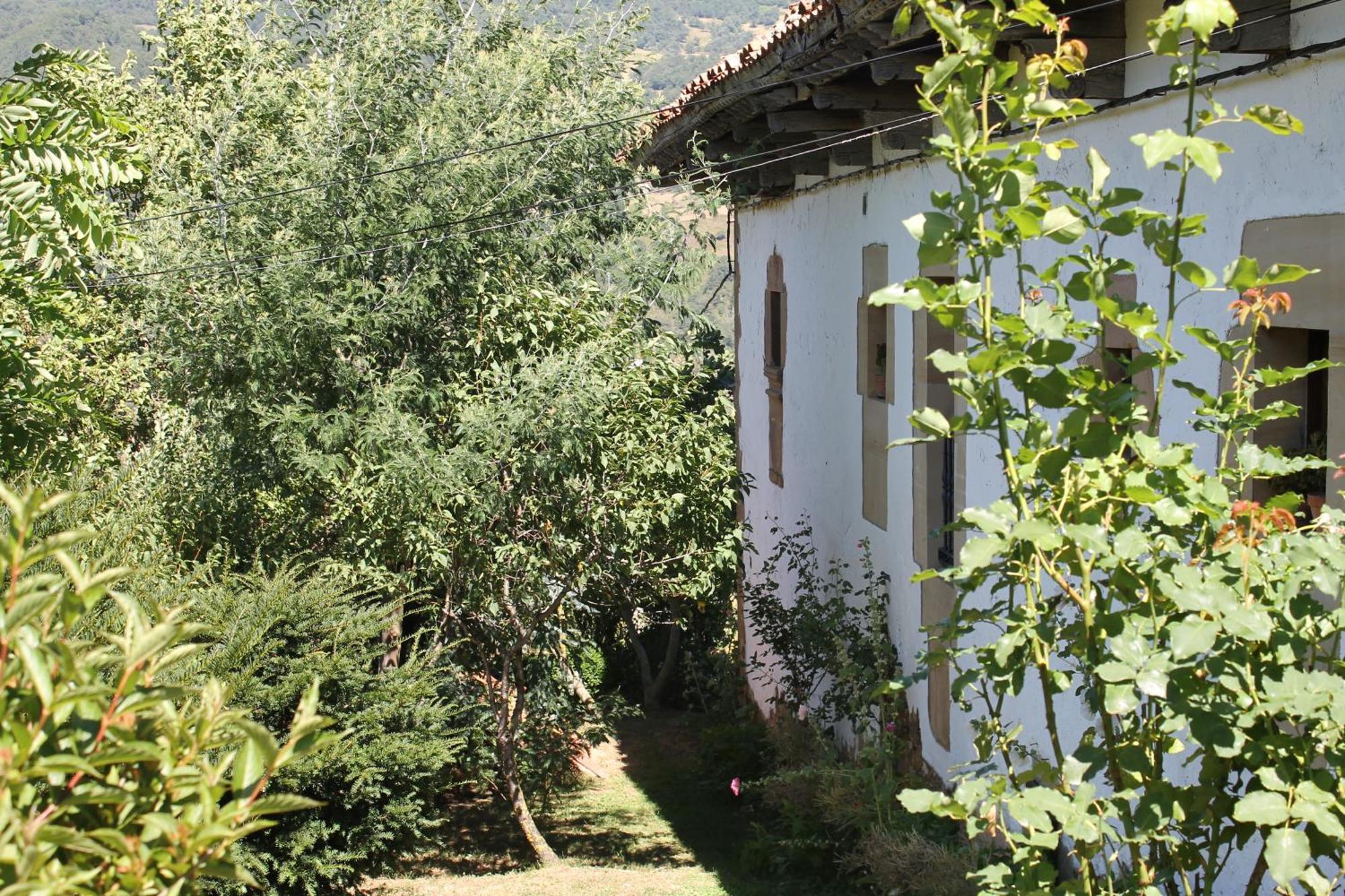 Гостевой дом Casona De Trevino Косгайя Экстерьер фото
